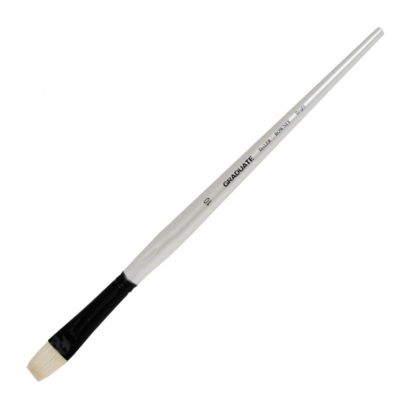 Daler-Rowney Graduate pennello setola piatto corto manico lungo n. 10 D212141010