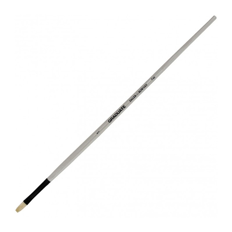 Daler-Rowney Graduate pennello setola piatto lungo manico lungo n. 1 D212144001 Daler-Rowney Graduate pennello setola piatto lungo manico lungo n. 1 D212144001
