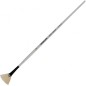 Daler-Rowney Graduate pennello setola a ventaglio manico lungo n. 2 D212146002 Daler-Rowney Graduate pennello setola a ventaglio manico lungo n. 2 D212146002