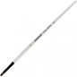 Daler-Rowney Graduate pennello sintetico piatto corto manico lungo n. 6 D212160006 Daler-Rowney Graduate pennello sintetico piatto corto manico lungo n. 6 D212160006