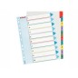 Rubrica Esselte numerica 1-10 con indice riscrivibile in cartoncino, formato A4 Maxi - 100208 Rubrica Esselte numerica 1-10 con indice riscrivibile in cartoncino, formato A4 Maxi - 100208