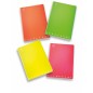 MAXI 21/Q MONOCROMO FLUO PIGNA 226792 MAXI 21/Q MONOCROMO FLUO PIGNA 226792