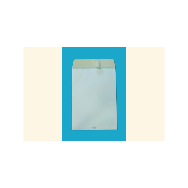 Blasetti Self buste a sacco 19 x 26 cm bianche 80 g internografate con strip adesivo – confezione 500 pezzi 0627