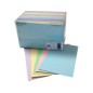 100 pz Biglietti + busta 5 colori tenui 9 9x14 329 100 pz Biglietti + busta 5 colori tenui 9 9x14 329
