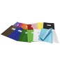 RIPLAST 25 pz Copri maxi quaderno Green Line Nero 34718053 RIPLAST 25 pz Copri maxi quaderno Green Line Nero 34718053