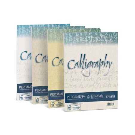 1 - FAVINI  50 pz Fogli pergamena A4 colore nocciola Calligraphy 90 GR A69N204