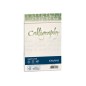 Buste Calligraphy Algae 02 Favini - 12x18 Cm Avorio Conf. 25 90 grA57Q447 Buste Calligraphy Algae 02 Favini - 12x18 Cm Avorio Conf. 25 90 grA57Q447