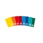 Blasetti One Color mini quaderno 12x17 cm 80 g 20 fogli rigatura 1R 1402 Blasetti One Color mini quaderno 12x17 cm 80 g 20 fogli rigatura 1R 1402