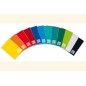 BLASETTI Quaderno ONE COLOR Rig.1R 21 fogli - Colori Assortiti 1449