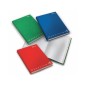 PIGNA Registro A4 cartonato monocromo 21x31 cm 50 fg. 206871 PIGNA Registro A4 cartonato monocromo 21x31 cm 50 fg. 206871