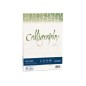 FAVINI 50 pz Carta A4 Nature Alga Avorio 90 gr Calligraphy A69Q244
