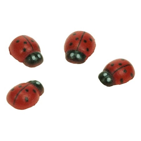 ACCESSORI CREATIVITY COCCINELLA 8X11MM IN LEGNO WD34