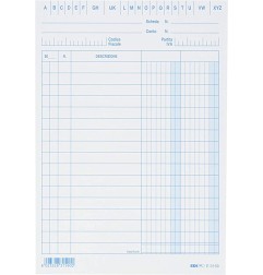 1 - EDIPRO Schede a 2 colonne blu, 100 pezzi 17x12 E3159
