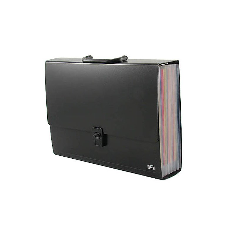 LEBEZ Cartella Portadocumenti A4 con 25 Tasche Colorate - Nero 2580