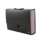 Cartella portadocumenti Lebez A4 con 25 tasche colorate, valigetta con maniglia, nero - 2580