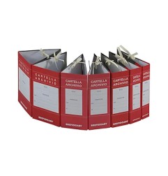 1 - BREFIO FALDONE ARCHIVIO CON LACCI IN CARTONE DORSO 20