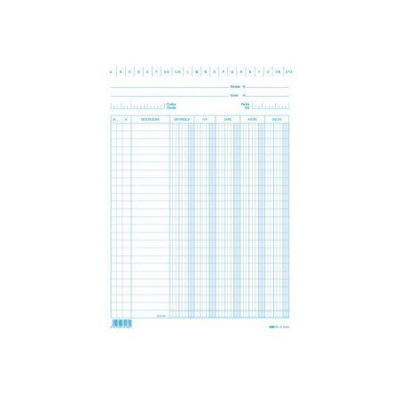 100 schede verticali 24x17cm dare/avere/saldo/iva Edipro - E3426