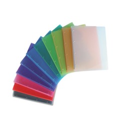 1 - NIKOFFICE Raccoglitore Rigato in PPL 4 Anelli d.30mm 22x30 cm - Colori Assortiti 01/177-2