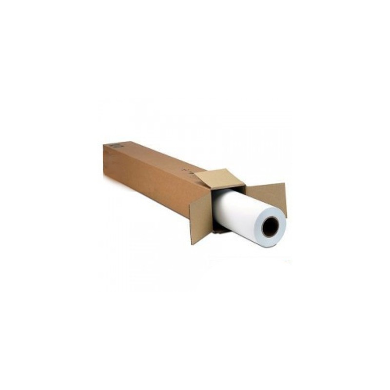 Rotolificio Pugliese Carta Opaca per Plotter 90 g/m² 42 cm x 50 m 2 rotoli D42P29