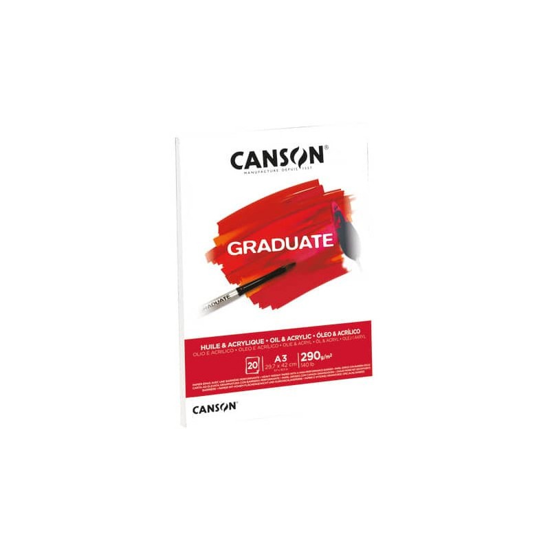 Canson blocco per olio e acrilico Graduate A3 290 g/m² 20 fogli collato C400110381