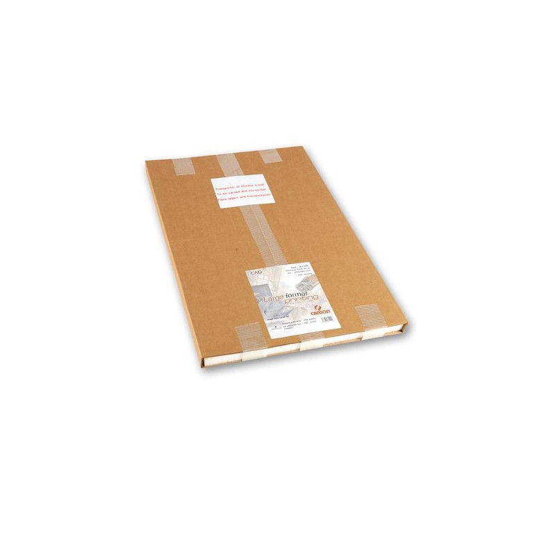 Canson carta opaca per plotter A2 42x59,4cm 90 g/m² 250 fogli 61-100