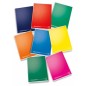 PIGNA Conf.10 pz Quaderni COLOURS A5 Rig.5M 20+1 fogli - Colori Assortiti 213641 PIGNA Conf.10 pz Quaderni COLOURS A5 Rig.5M 20+1 fogli - Colori Assortiti 213641
