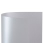 FAVINI 100 fogli Carta special event metalizzata colore bianco A4 120 gr A690114 FAVINI 100 fogli Carta special event metalizzata colore bianco A4 120 gr A690114