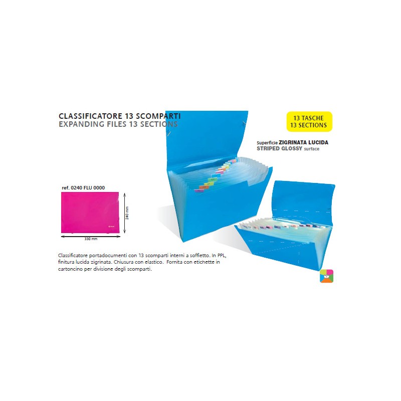 Classificatore a soffietto A4 con 13 scomparti e targhette colori fluo 0240FLU0000 Classificatore a soffietto A4 con 13 scomparti e targhette colori fluo 0240FLU0000