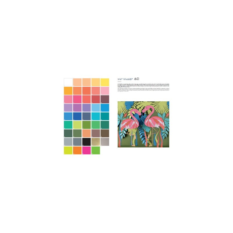 Canson Iris Vivaldi carta colorata per fotocopie A3 185 g 50 fogli fucsia 40190 Canson Iris Vivaldi carta colorata per fotocopie A3 185 g 50 fogli fucsia 40190