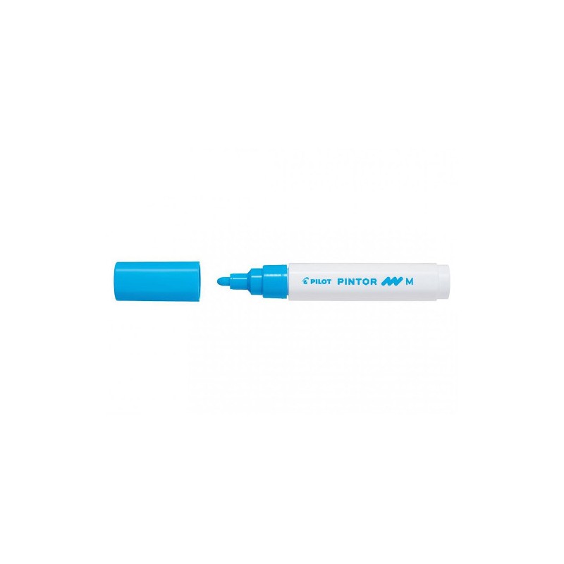 PILOT Pennarello Marker Pintor medio colore azzurro 002394