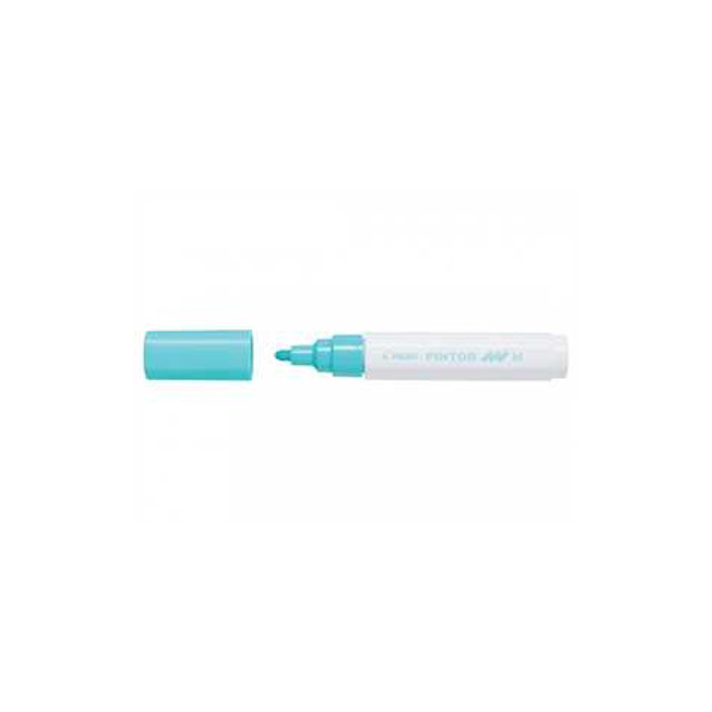 PILOT Pennarello Marker Pintor medio colore verde pastel 002371