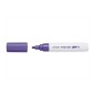 PILOT Pennarello Marker Pintor medio colore viola 002393 PILOT Pennarello Marker Pintor medio colore viola 002393