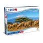 TEOREMA PUZZLE AFRICA - VEDUTA DEL KILIMANGIARO 70X50CM 1000 PZ 67035
