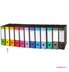 Brefiocart registratore con custodia commerciale 0201156.VGI