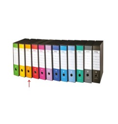 Brefiocart registratore con custodia protocollo 0201157.AR