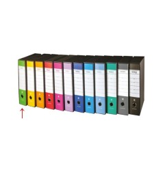 BREFIOCART Registratore d'archivio con custodia protocollo dorso 5 verde chiaro 0201157.VC