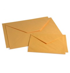 Buste gialle 12x18 cm Blasetti 80 g – 500 pezzi