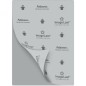 Fellowes Enhance Pouches Plastificazione A4 80 Micron Confezione da 100 Pezzi 5306114