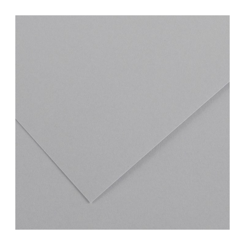 Canson Colorline Carta Grigio Chiaro 35 A4 220 g/m² Liscio Ruvido 50 Fogli C507412027 Canson Colorline Carta Grigio Chiaro 35 A4 220 g/m² Liscio Ruvido 50 Fogli C507412027