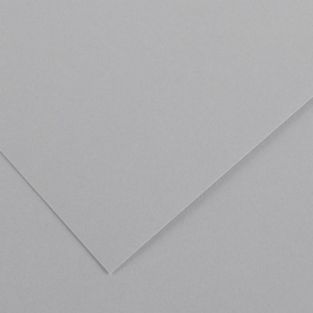 Canson Colorline Carta Grigio Chiaro 35 A4 220 g/m² Liscio Ruvido 50 Fogli C507412027