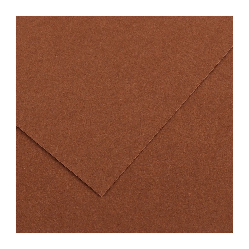 Canson Colorline Carta Nocciola 33 A4 220 g/m² Liscio Ruvido 50 Fogli C507412025 Canson Colorline Carta Nocciola 33 A4 220 g/m² Liscio Ruvido 50 Fogli C507412025