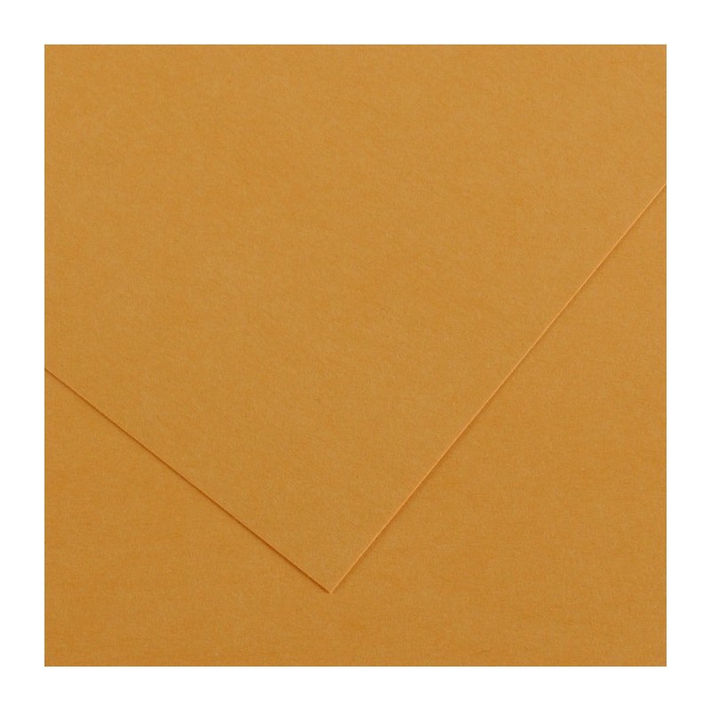 Canson Colorline Carta Cuoio 32 A4 220 g/m² Liscio Ruvido 50 Fogli C507412024