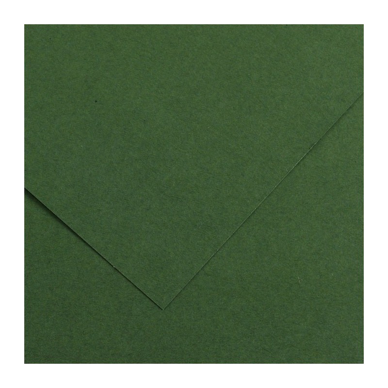 Canson Colorline Carta Verde Abete 31 A4 220 g/m² Liscio Ruvido 50 Fogli C507412023 Canson Colorline Carta Verde Abete 31 A4 220 g/m² Liscio Ruvido 50 Fogli C507412023