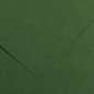 Canson Colorline Carta Verde Abete 31 A4 220 g/m² Liscio Ruvido 50 Fogli C507412023 Canson Colorline Carta Verde Abete 31 A4 220 g/m² Liscio Ruvido 50 Fogli C507412023
