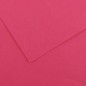 Canson Colorline Carta Fucsia 11 A4 220 g/m² Liscio Ruvido 50 Fogli C507412007 Canson Colorline Carta Fucsia 11 A4 220 g/m² Liscio Ruvido 50 Fogli C507412007
