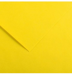 Canson Colorline Carta Giallo Canarino 04 A4 220 g/m² Liscio Ruvido 50 Fogli C507412003
