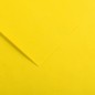 Canson Colorline Carta Giallo Canarino 04 A4 220 g/m² Liscio Ruvido 50 Fogli C507412003 Canson Colorline Carta Giallo Canarino 04 A4 220 g/m² Liscio Ruvido 50 Fogli C507412003