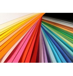 Canson Colorline Carta Bianca 01 A4 220 g/m² Liscio Ruvido 50 Fogli C507412000