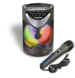 Bontempi altoparlante wireless con microfono 49-1010