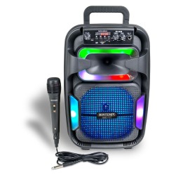 Bontempi altoparlante wireless con microfono 49-1030